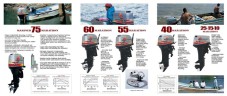 Best Price Outboard Motor Commerciual use 2 two Stroke Engine